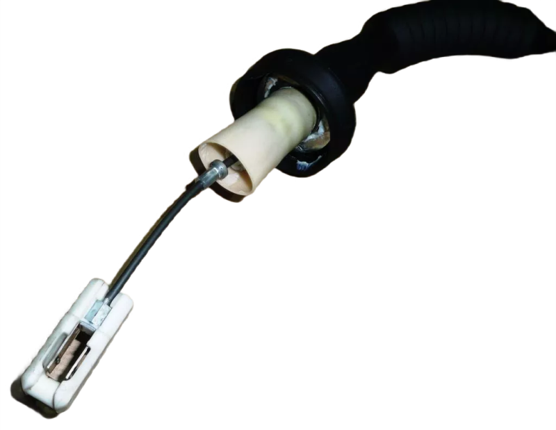 29photoAid-removed-background (1).png