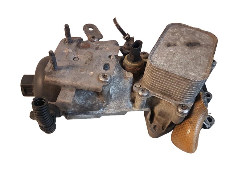 GBHD0009 (4).jpg