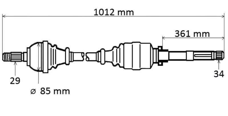 T6213.jpg
