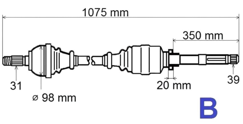 T6135 (1).jpg