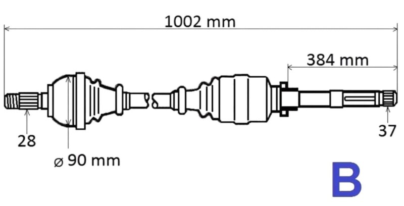 T6199.jpg