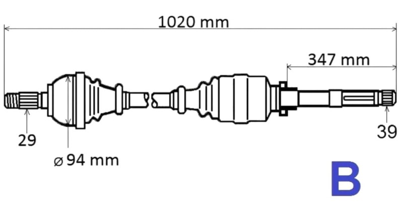 T6159 (1).jpg