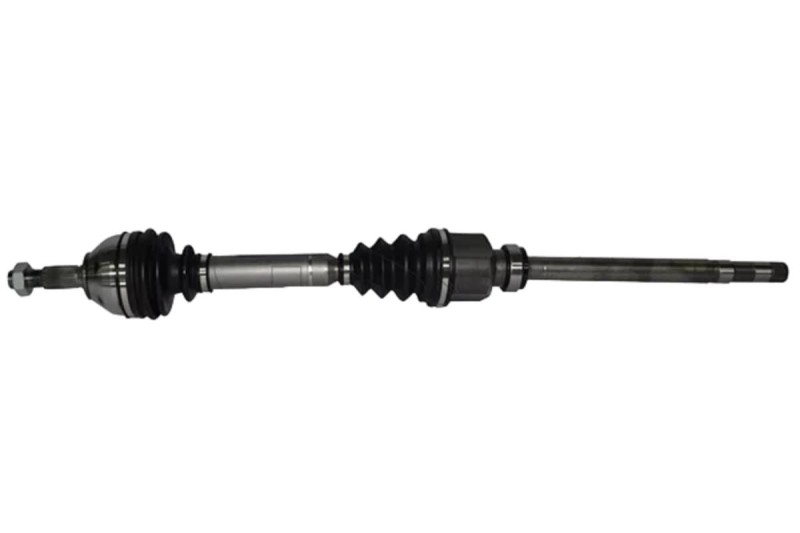 T6059 (2).jpg