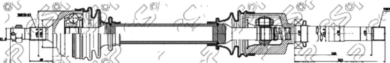 T5497 (1).jpg