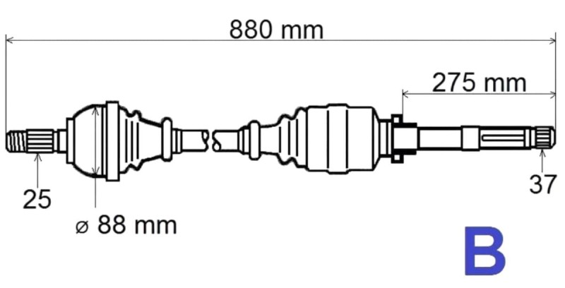 T6185.jpg