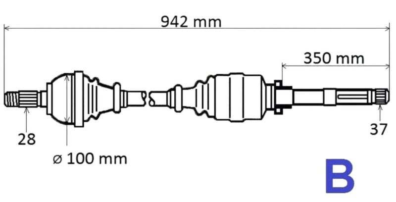 T6157.jpg
