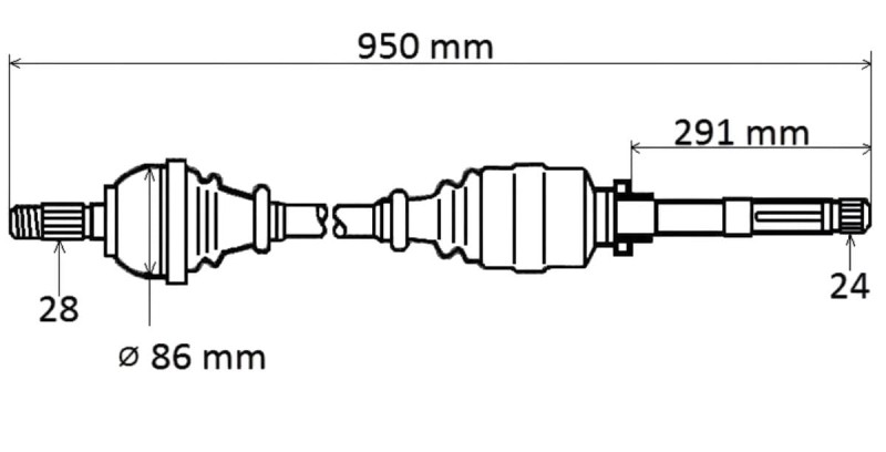 T6207.jpg