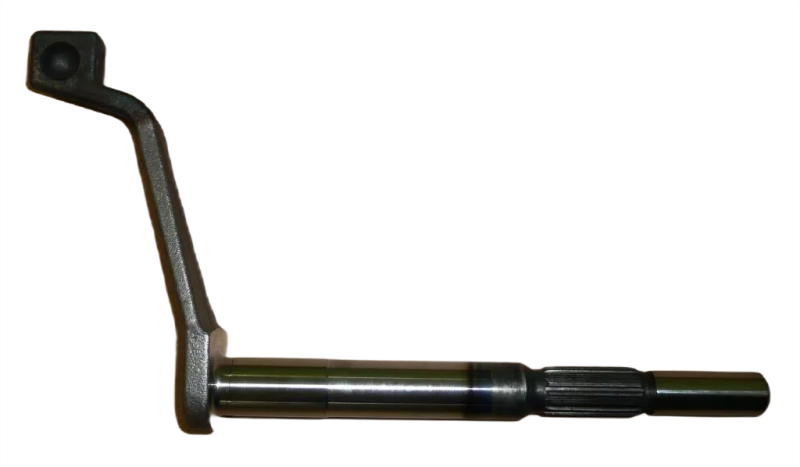 5photoAid-removed-background (5).png
