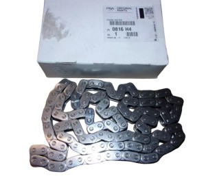 Jumper III Steuerkette 2.2 HDI 0816H4 Neu Original OE