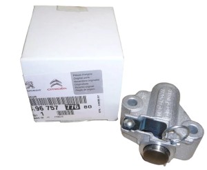 Jumper III Steuerkettenspanner 2.2 HDI 9675777680 Neu Original OE