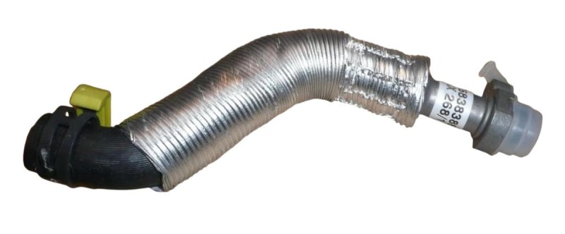 V861706980.JPG