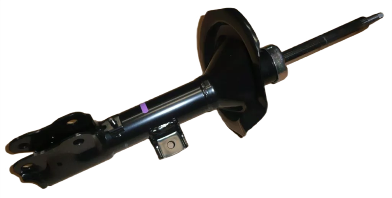 2photoAid-removed-background (9).png