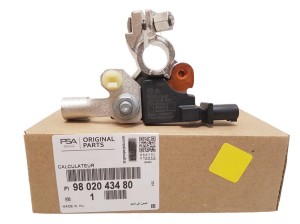 Batterieanschluss Peugeot Citroen 9802043480 Original OE