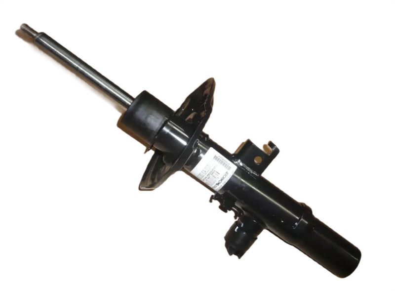 3photoAid-removed-background (8).png