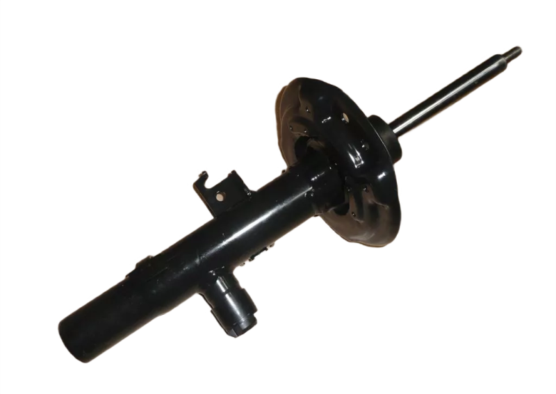 3photoAid-removed-background (7).png