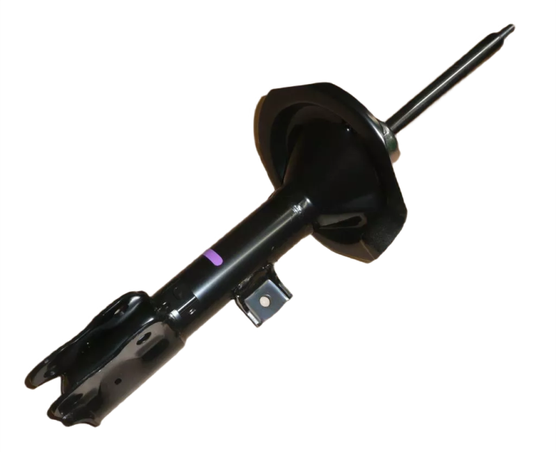 5photoAid-removed-background (10).png
