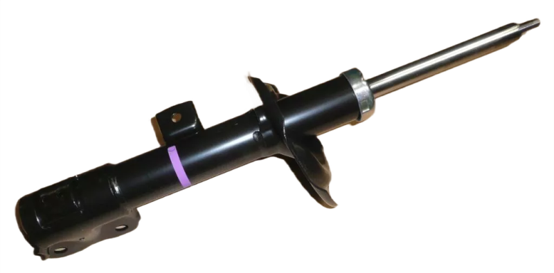 5photoAid-removed-background (9).png