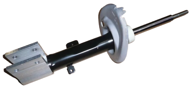 8photoAid-removed-background (12).png
