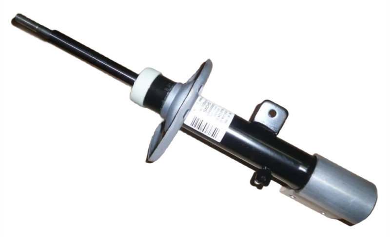 8photoAid-removed-background (10).png