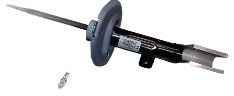 10photoAid-removed-background (13).png