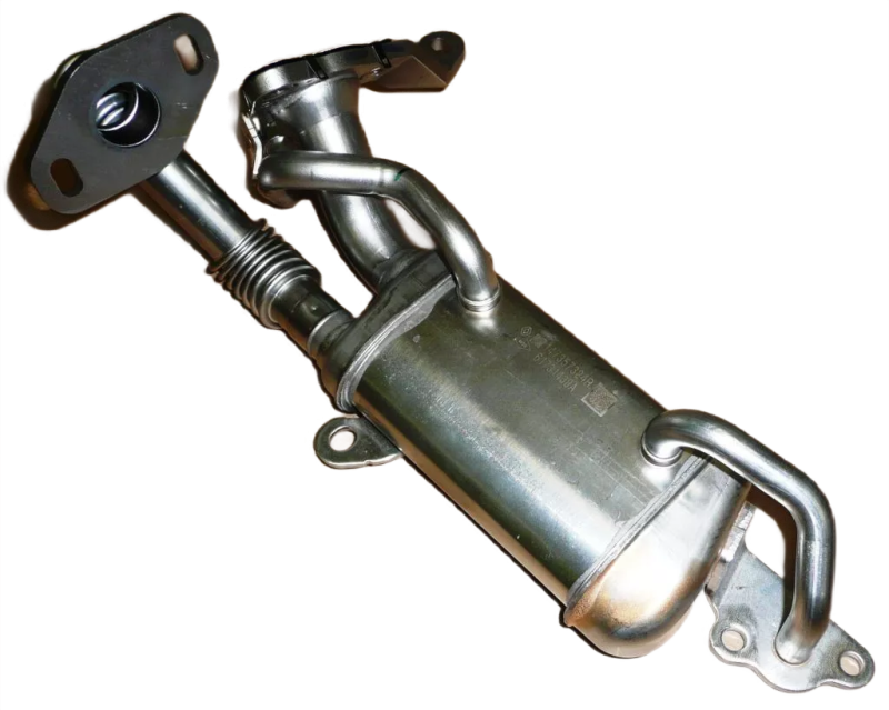 1photoAid-removed-background (9).png