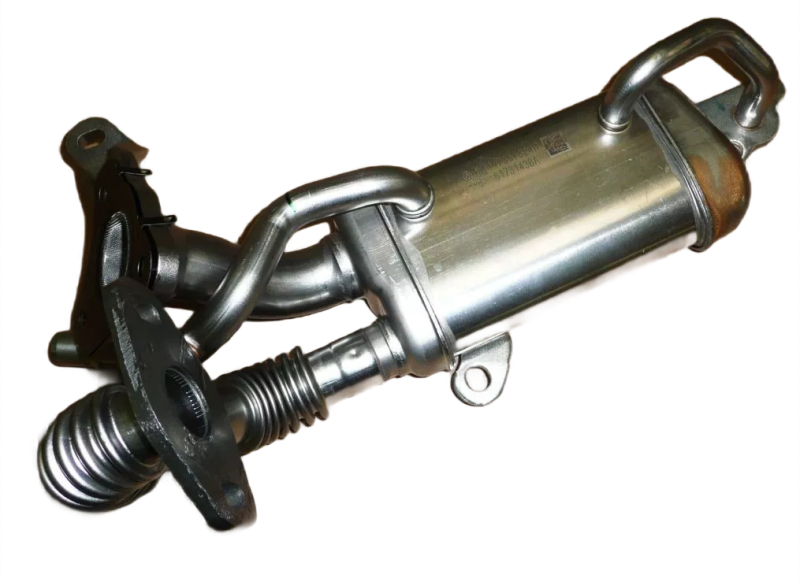 1photoAid-removed-background (8).png