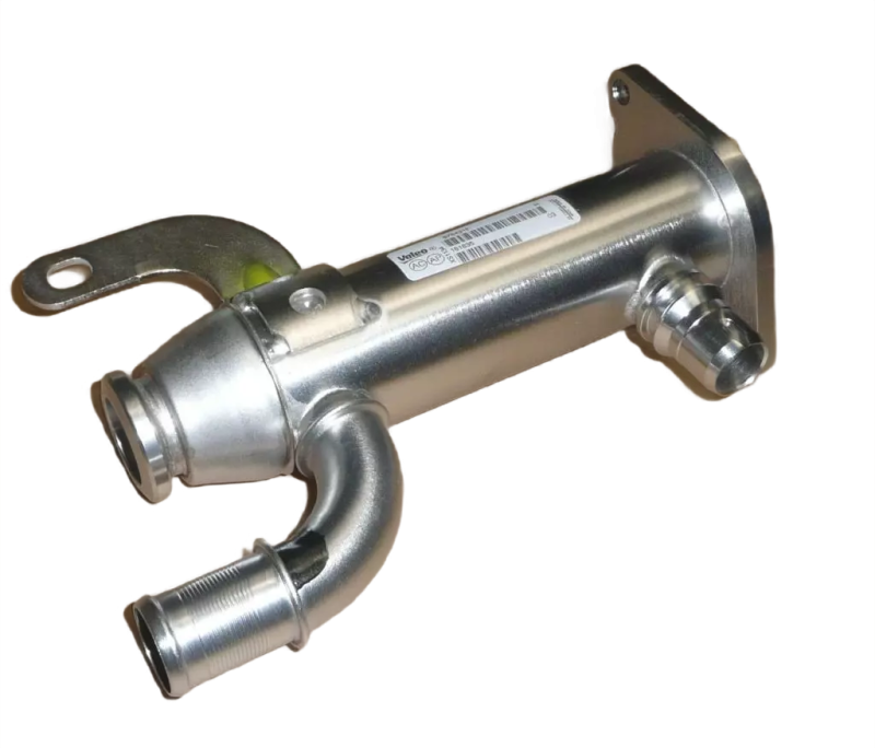 1photoAid-removed-background (3).png