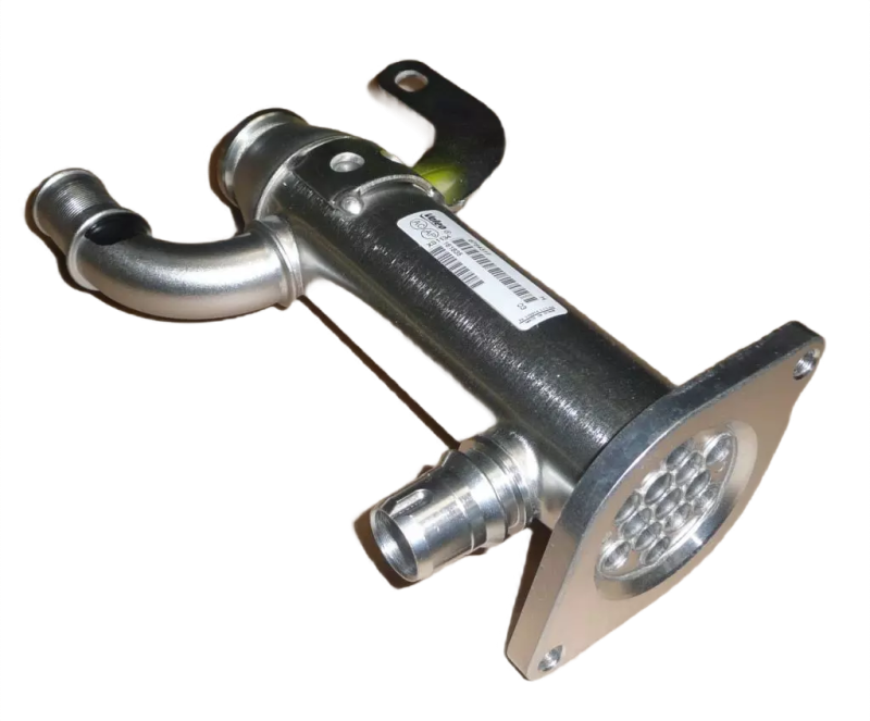 1photoAid-removed-background (2).png