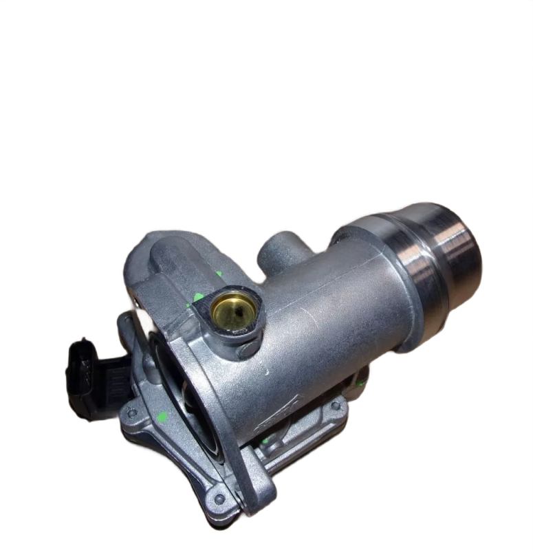 1photoAid-removed-background (4).png