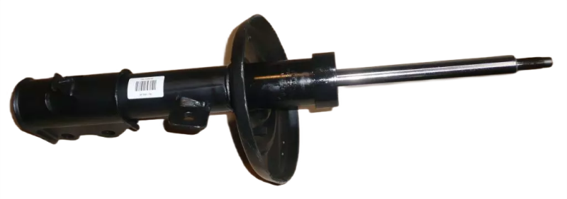 4photoAid-removed-background (9).png