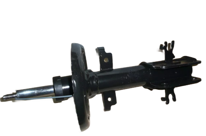 6photoAid-removed-background (14).png