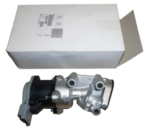 Ventil EGR Citroën Peugeot 2.7 HDI 1618N7 Neu Original OE
