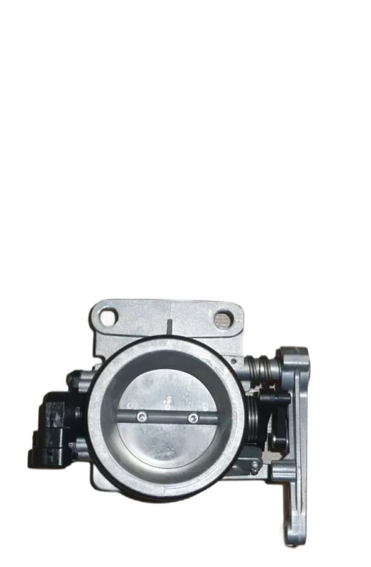 1photoAid-removed-background (19).png