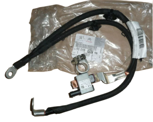 BATTERIE-MINUSPOLINAL CITROEN PEUGEOT 9801979280
