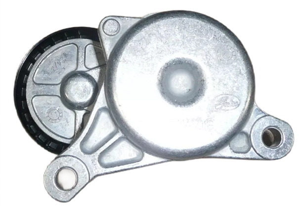 1photoAid-removed-background (13).png
