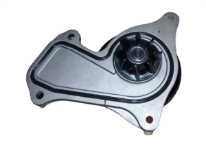 Wasserpumpe RENAULT 210102662R