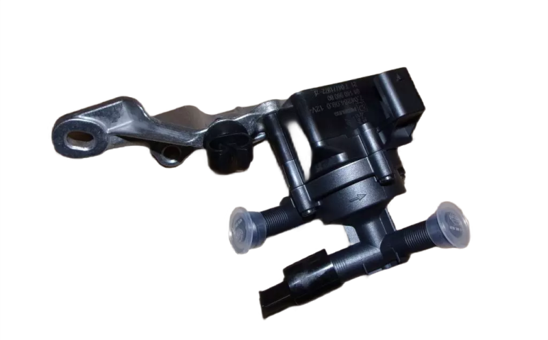 18photoAid-removed-background (4).png