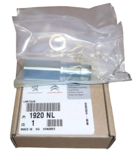 Kraftstoffdrucksensor Jumper III Boxer III 2.2 HDI 1920NL Neu Original OE