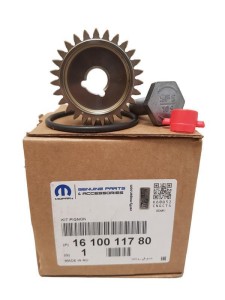 Reparatursatz für Einspritzpumpen von Citroën und Peugeot 1610011780 Neu Original OE