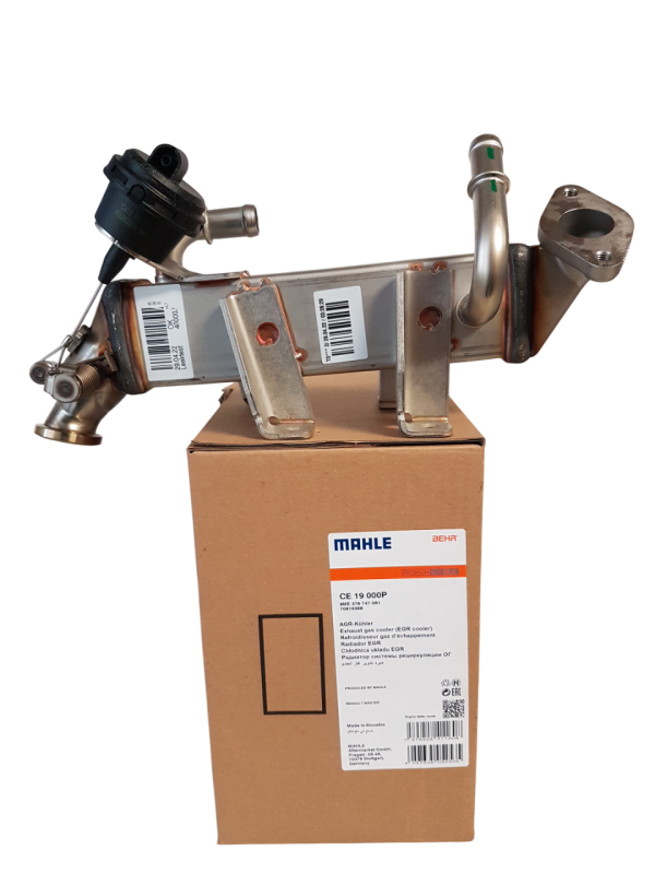 MAHCE19000P  (1).jpg