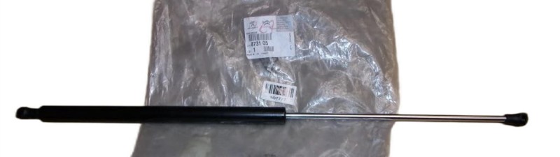 8731Q5.JPG