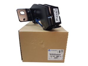 Rechte Seitentür, mittlerer Gepäckwagen 9839367880 Neu Original OE