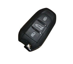 Citroen-Schlüssel DS4 / DS5 98004801ZD Neu Original OE