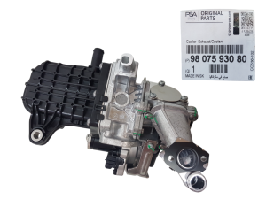 AGR-Ventil Citroën Peugeot 2.0 BlueHDI 9807593080 Neu Original OE