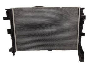 Wasserkühler BV618005BD Lüfter DV618C607AD Ford Original 1000KM
