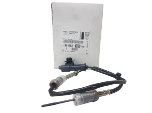 Peugeot Abgastemperatursensor 9808312080 Neu Original OE
