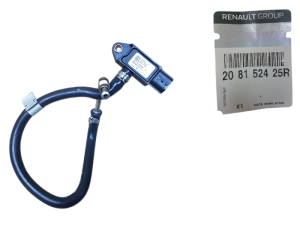 Abgasdrucksensor RENAULT 208152425R