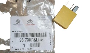Elektrisches Relais CITROEN 9673062180