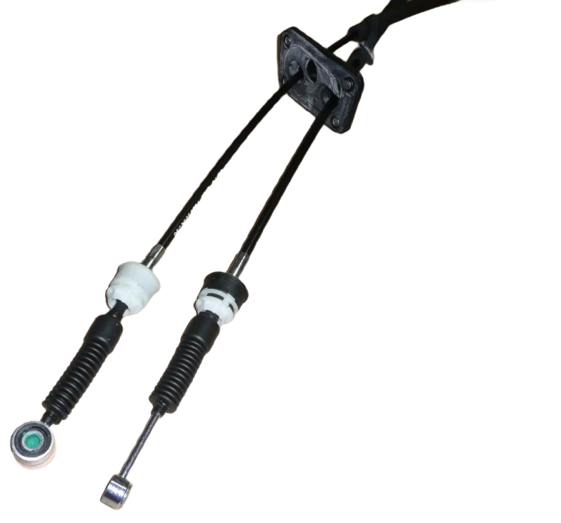 19photoAid-removed-background (1).png