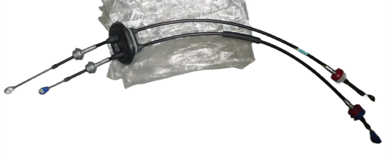 20photoAid-removed-background.png